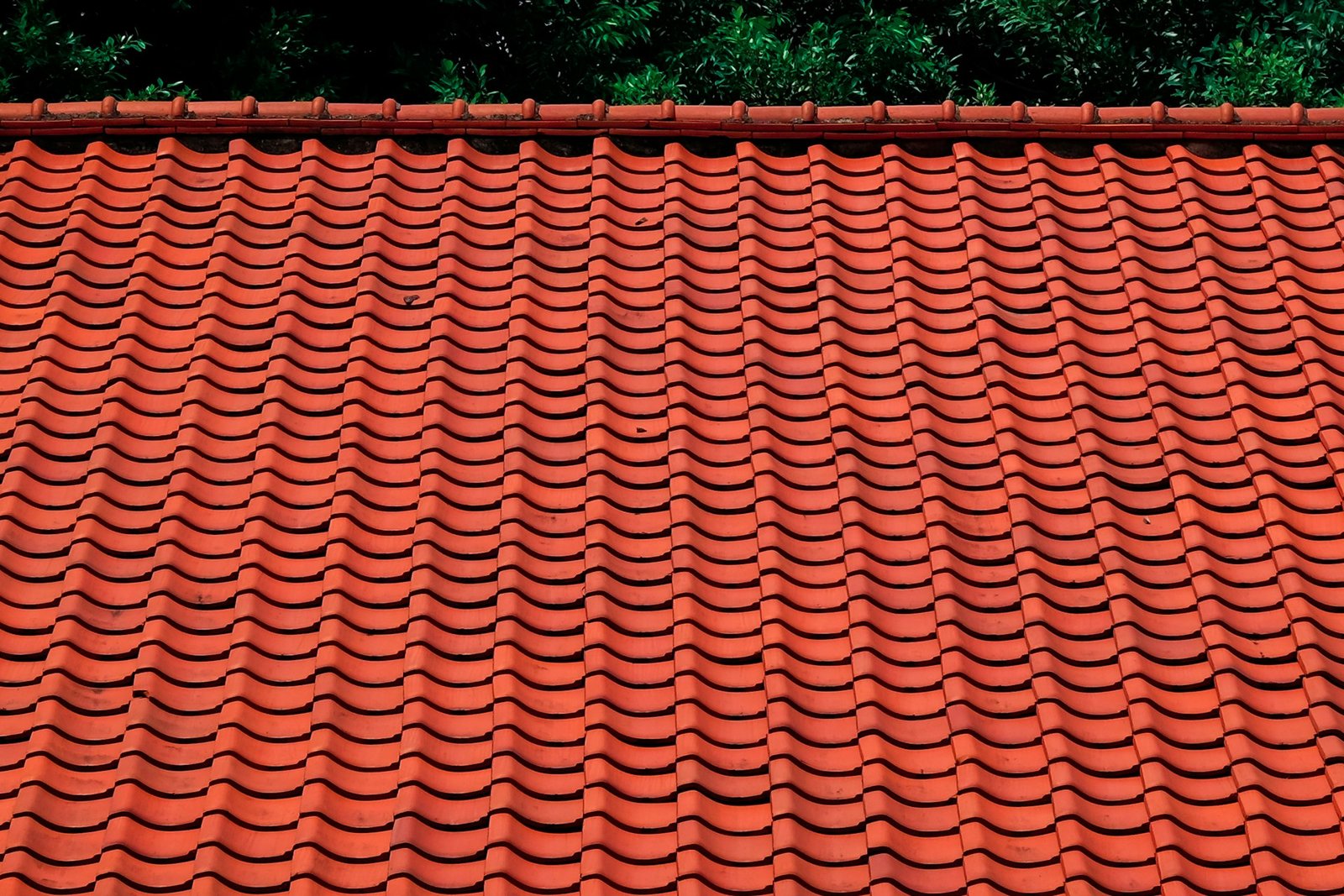 Residential roof with shingles